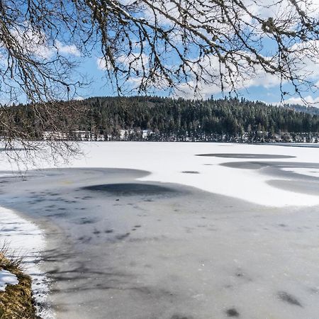 Ferienwohnung Am Schwellenweiher Feldberg  Extérieur photo