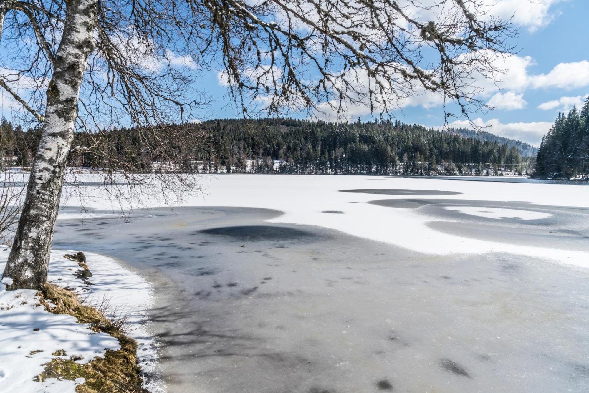 Ferienwohnung Am Schwellenweiher Feldberg  Extérieur photo